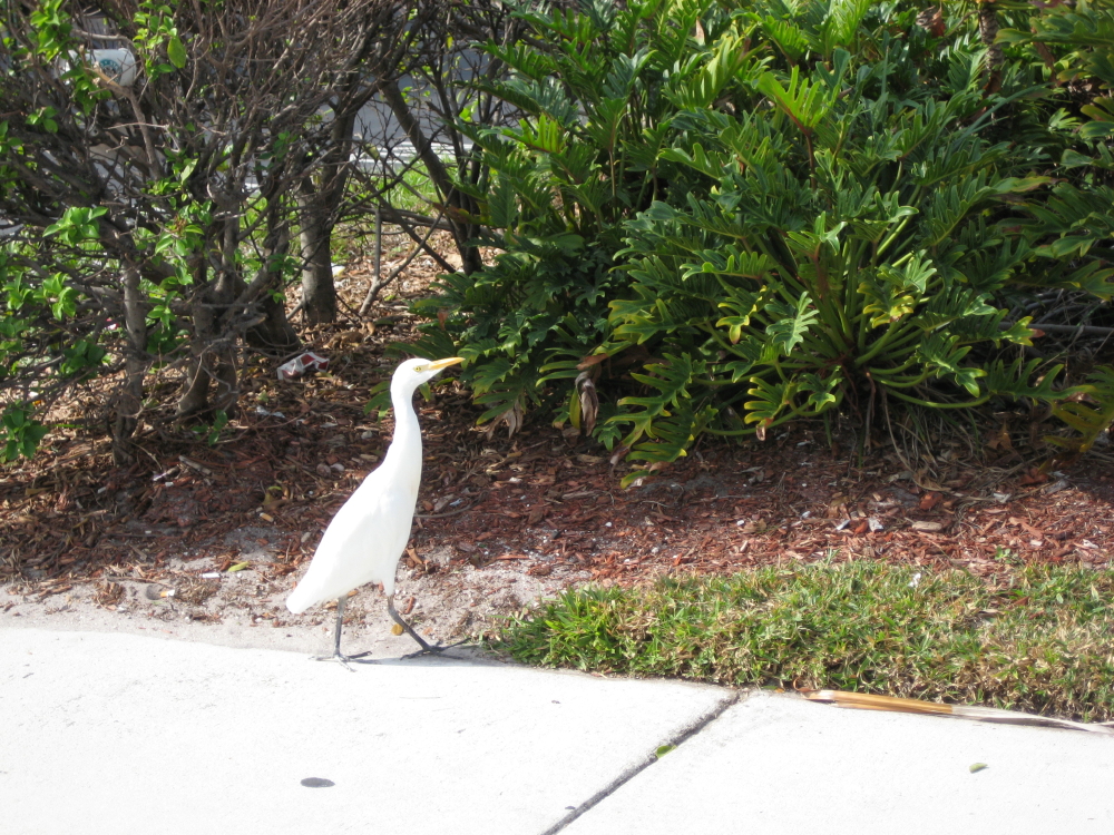 Florida